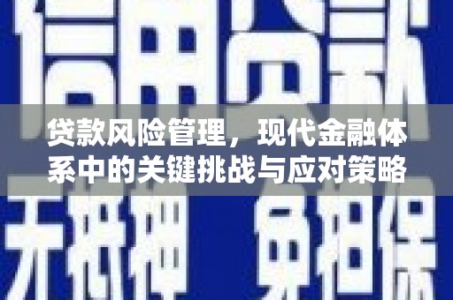仪陇贷款风险管理，现代金融体系中的关键挑战与应对策略