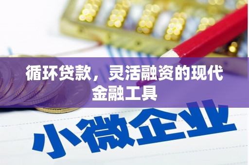 仪陇循环贷款，灵活融资的现代金融工具