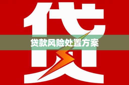 仪陇贷款风险处置方案
